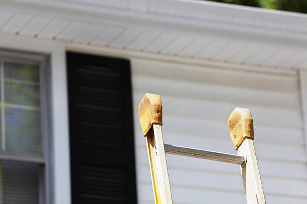 Best Custom Trim and Detailing for Siding  in Greenville, DE